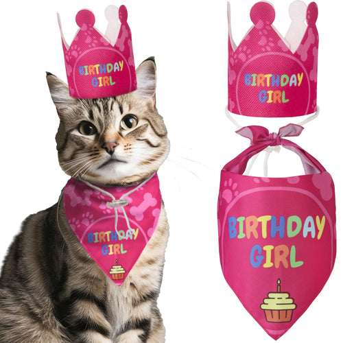 Odi Style Cat Birthday Decorations - Cat Birthday Hat Crown and Cat Birthday Bandana Girl Kitten Cat Birthday Gift Outfit Happy Cat Party Decor Cat Products Pink