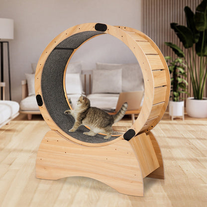 Natural Wood Cat Exercise Wheel with Carpeted Track