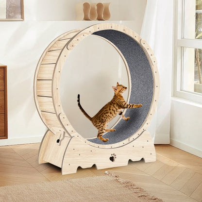 Cat Indoor Cat Exercise Wheel