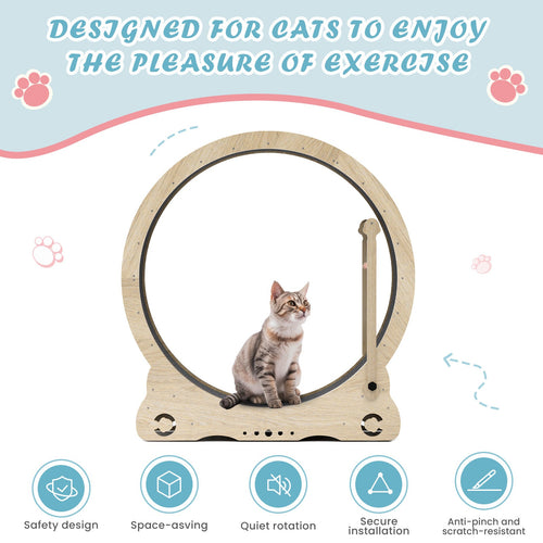 Cat Exercise Wheels - Indoor Cat Treadmill