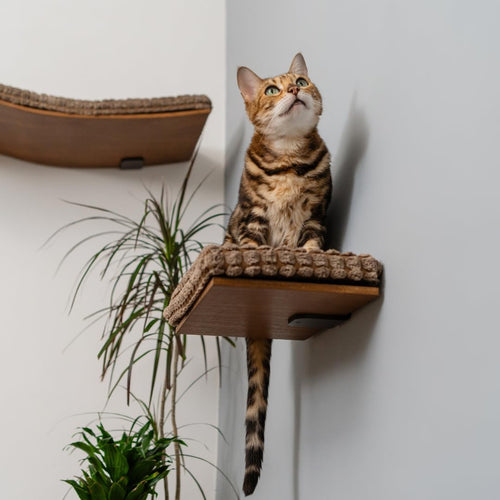 Kitsune Garden Cat Step Cat Wall Furniture Wall Mounted Shelf Cat Wall Shelf Cat Shelves Cat Bed Cat Shelf Cat Steps for Wall Brown (Step)