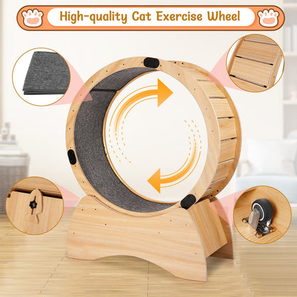 Natural Wood Cat Exercise Wheel with Carpeted Track